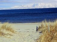 Möchten Urlaub an der Ostsee machen - Rostock