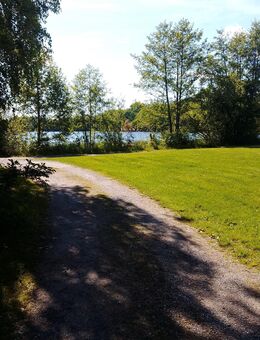 Nettes Weibliches Wesen hier? - Leipzig