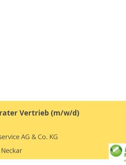 Personalberater Vertrieb (m/w/d) - Horb (Neckar)