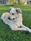 Luna: will endlich ankommen! in 84152