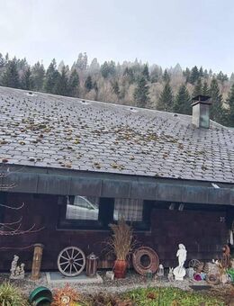 Charmantes Schwarzwaldhaus in Todtmoos - Todtmoos