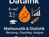 Ghostwriter Statistik Mathematik Mathe Python Excel Informatik Nachhilfe Ghostwriting - Dortmund