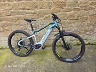 Haibike SDURO Hard Seven Life 8.0 - Waigolshausen