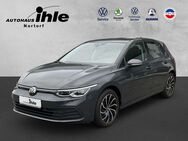 VW Golf, 2.0 TDI VIII Life IQ Light, Jahr 2021 - Nortorf (Landkreis Rendsburg-Eckernförde)