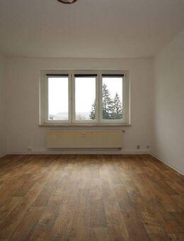 Helle 3-Zimmer-Wohnung im Erdgeschoss (Hochparterre) zu vermieten! - Stabile Heizkosten durch Holzhackschnitzelanlage** - Reuth (Sachsen)