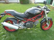 Ducati Monster 600 - Hainburg