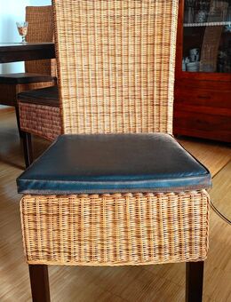 Hochwertige Esszimmer Stühle - Rotenburg (Wümme)