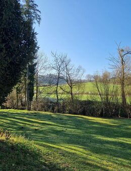 Neuwertige 2 Zimmer- Erdgeschosswohnung in direkter Nachbarschaft zur Natur!!! - Mörlenbach