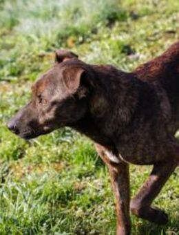 LEHMANN - ruhig und menschenbezogen - Overath