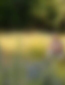 Mon*** - Bergisch Gladbach