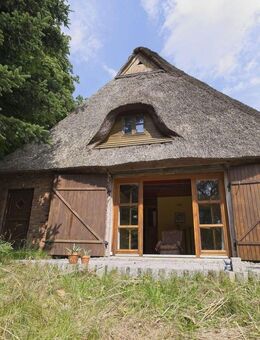 Landhaus unter Reetdach - Hochdonn