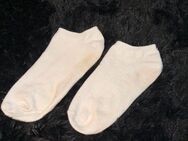 Getragen Socken für dich - Dresden