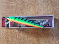 Neu! 4 Wobbler Rapala Husky Jerk HJ 10RT F:RT L:10cm G:10g - Kirchheim (Teck) Zentrum