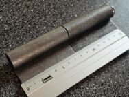 KO-Band 160 mm,roh - Ulmen