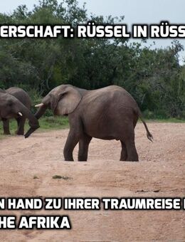 Südafrika erleben: Kleingruppenreise im Januar 2026 - Margetshöchheim