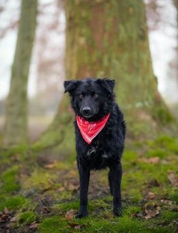 ❤️Janja Sportskanone mit Kuschelbonus - Kissing