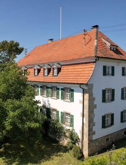 Historisches Anwesen trifft moderne Eleganz - ehemalige Vogtei mit Alpenpanorama - Ühlingen-Birkendorf