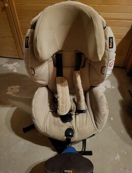 Kindersitz BeSafe Reboarder iZi Plus 0-25 kg beige - Meckenheim Zentrum