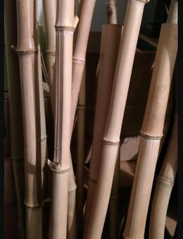 Bambus Stab Stäbe Bambusstäbe 14 Stück Holz Sichtschutz Zaun Dekoration - Weiterstadt