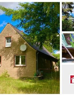 Einfamilienhaus auf großem Grundstück - Nähe der Ostsee und Greifswald - Gribow