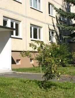 Für Sie frisch saniert - wer schnell ist, darf auch mit aussuchen - Zeitz