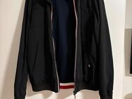 Tommy Hilfiger Jacke Größe XL - Coesfeld