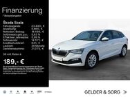 Skoda Scala, 1.5 TSI Ambition, Jahr 2023 - Hofheim (Unterfranken)