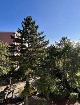 Gemütlich in zentraler Lage! - Isernhagen