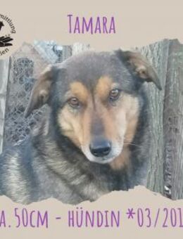 Tamara - Rotenburg (Fulda)