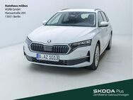 Skoda Octavia, 2.0 TDI Combi Selection MFK, Jahr 2024 - Berlin