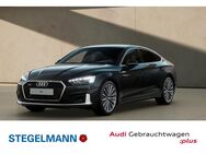 Audi A5, Sportback 40 TDI qu S-Line advanced, Jahr 2024 - Detmold