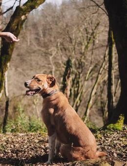 Neugieriger Süleyman sucht dich! - Duisburg