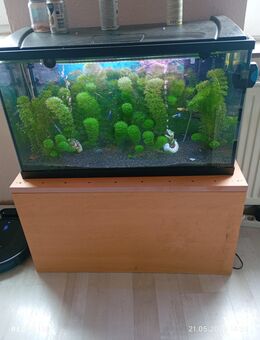 Aquarium komplett - Goch