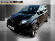 Fiat Panda, City Plus M-Hybrid, Jahr 2023 - Brandenburg (Havel)