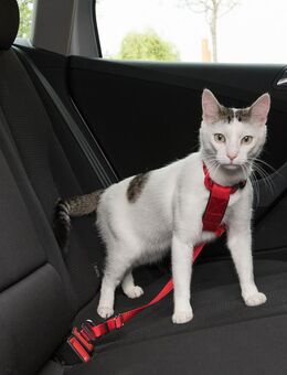 Trixie Auto-Geschirr für Katzen - rot