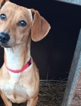 Vanda wurde mit Oli augesetzt - Olsberg