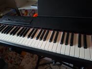 Roland E-Piano F 20 mit Ständer und Hocker - Michendorf