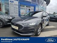 Ford Focus, Titanium X MHEV ECall Winter, Jahr 2023 - Weinheim