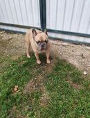 ARCI - neues Vertrauen aufbauen in 51491