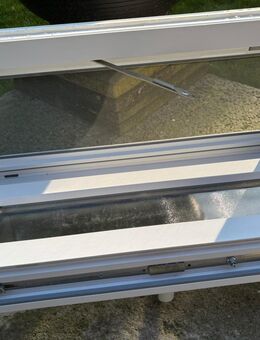 Fenster Keller Schüco Glas satin - Gladbeck