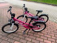 Puky Cyke 18 Zoll 2x - Pfreimd