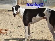 Rocky7 wer zeigt ihm das Leben 02/23ESP - Ruppertsecken