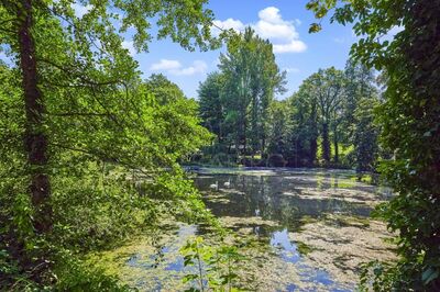 TRAUMHAFTE EIN ODER ZWEI NEUBAU-FAMILIEN-VILLA MIT LUXUSAUSSTATTUNG IN BESTLAGE VON GRUNEWALD