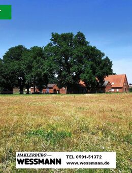 VERKAUFT! Bauernhaus mit Nebengebäuden in Freren - Freren