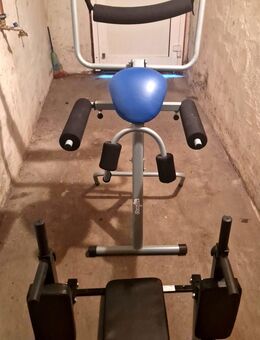 FITNESS GERÄT Dorylax PRO & Max body mass of user 120kg - Zerbst (Anhalt)