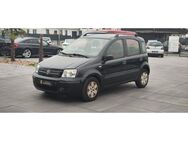 Fiat Panda 1.2 8V Dynamic Metallic - Gießen