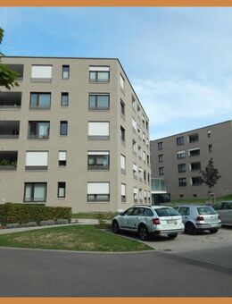 Wunderschöne betreute 2-Zimmer-Seniorenwohnung, im St. Gallus-Park frei ab 1. August 2025 - Zell (Harmersbach)