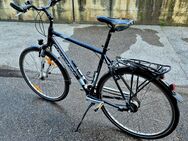 Fahrrad Herren Trekking - Rosenheim