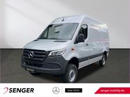 Mercedes Sprinter, 319 KA L2H2, Jahr 2024 - Herford (Hansestadt)