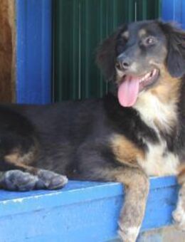 Zuckersüße CAYLA - Velbert